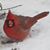 Ruth Lashmit Slusher's profile image