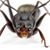 Stephen Gardner's profile image