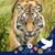 Jana Stasia's profile image