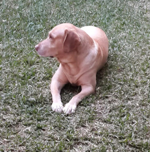 Ingrid's profile image