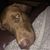 Christene Sandstrom Vest's profile image