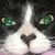 Darlene Foster's profile image