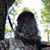 Kevin Jones's profile image