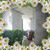 Silvia Y Ernesto Rico's profile image