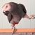 Dreena Ebert's profile image