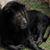 Chauncey Bizzell's profile image