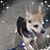Kathie Norton's profile image