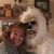 Amy Stover's profile image