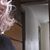 Jllo Koehler's profile image