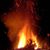 Debbie Salmons's profile image