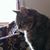 Gail DeWitt's profile image
