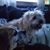 Tammy Miceli Grimes's profile image