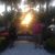 Donna Giambattista's profile image