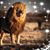 Amy Peabody's profile image