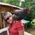 Dawn Buller Pierce's profile image