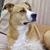 Lennon Perkins Parker's profile image