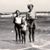 Connie Moyer's profile image