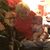 Susan R Tullock's profile image