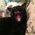 Claudia Bechtol's profile image