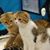 Susan Burr's profile image