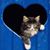 Mona Uren Anderson's profile image