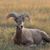 Vicki Gayles's profile image