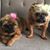 Fabiola Lopez's profile image