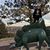 Lizzy Rouille's profile image