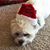 Diane Onshus- Hutfless's profile image