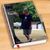 Eric Topp's profile image