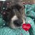 Joan Shaw's profile image