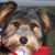 Kathi Williams-Wagner's profile image