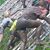 Patti Landwehr-James's profile image