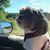 Tammy Sue's profile image