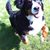 Carol Schneider's profile image