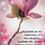 Zoraida Arroyal Acris's profile image