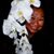 Venus Leah's profile image