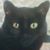 Patricia Grover's profile image