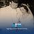 Marla Zirin's profile image