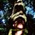 Pot Pot's profile image