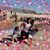 Sharon Donahoe's profile image
