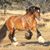 Samantha VanSickle's profile image