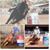 Catherine Carroll Watson's profile image
