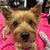 Kelly Steller Hrad's profile image