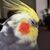 Caleb Allen's profile image