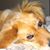 Cheryl L Johnson's profile image