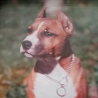 Anonymous's profile image