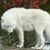 Audrey Russell's profile image