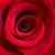 Sharon Carter's profile image