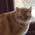 Therry Neilsen-Steinhardt's profile image